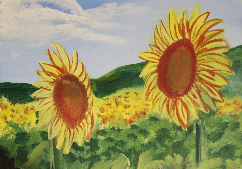 #59 - Field of Sunflowers