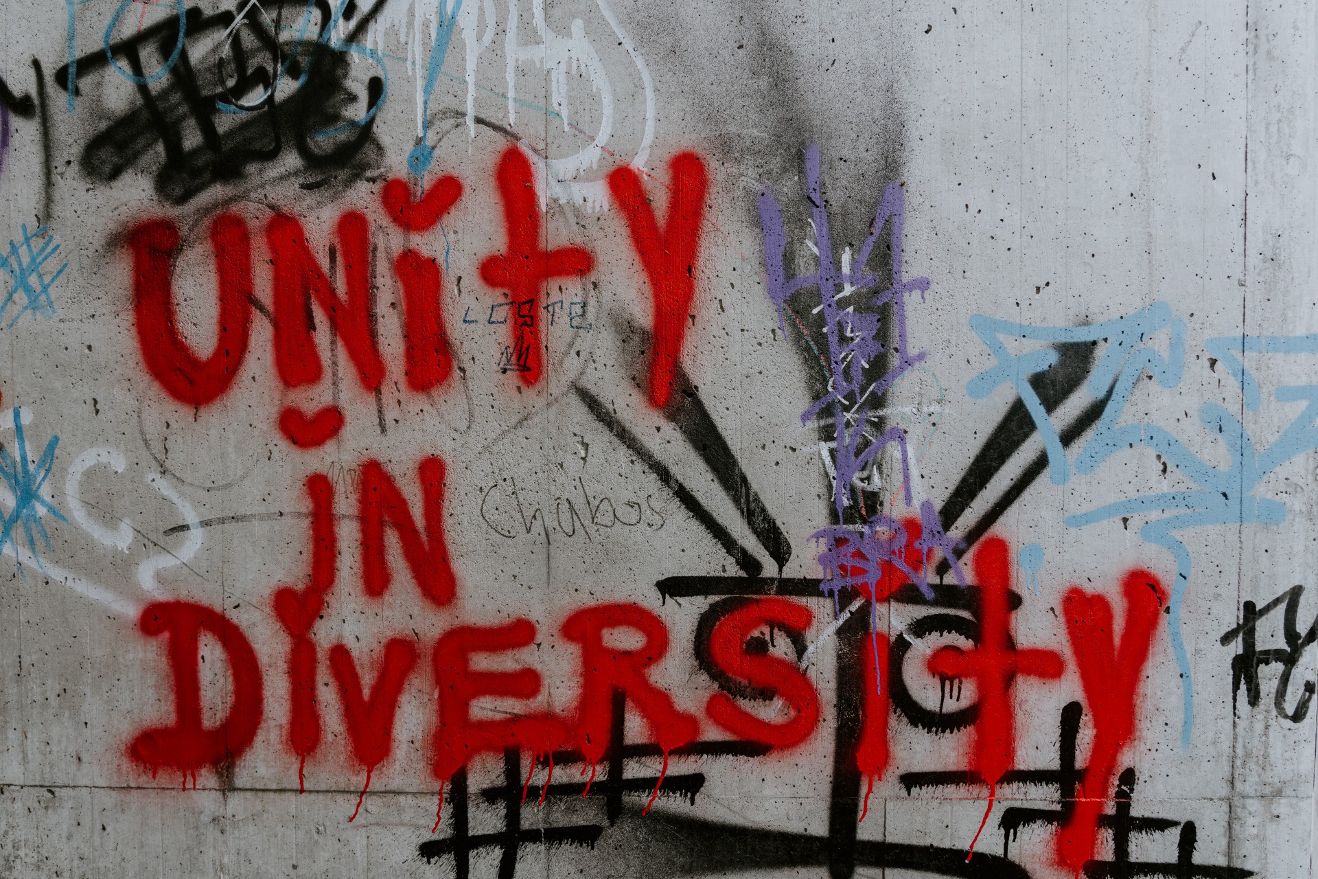 Diversity, Equity, and Inclusion – One Persons Opinion